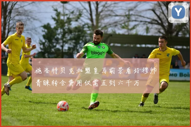 施洛特贝克加盟皇马前景看好穆帅青睐转会费用仅需五到六千万